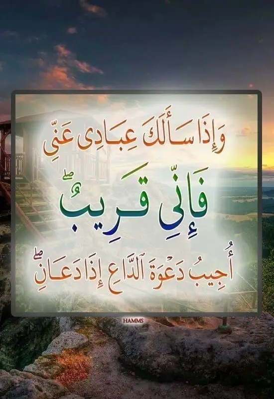 #عليه_افضل_الصلاه_والسلام  #قران_كريم 