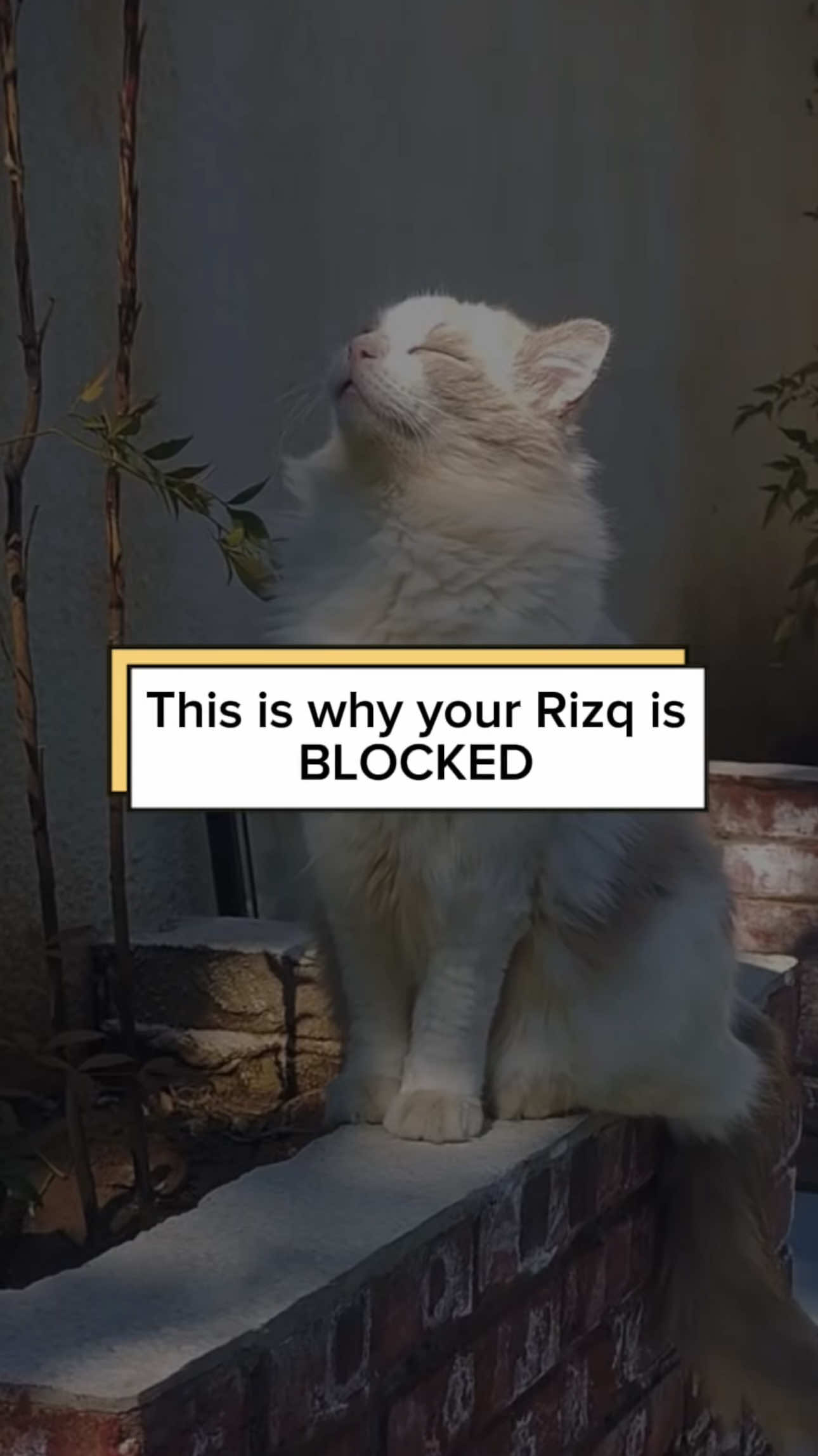 Type Subhan Allah in the comments🤲🏼❤️ #Rizq #fyp #viral #islamic_video #dailyreminder @tiktok creators 