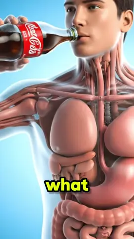 If you drink coke everyday, what happens to your body?