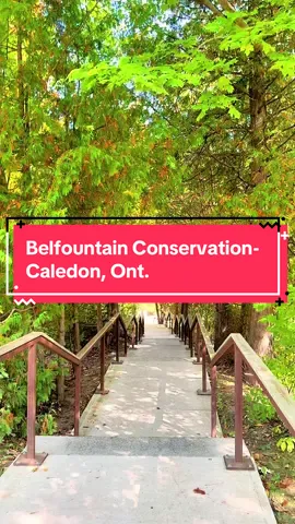 Perched atop the Niagara Escarpment, Belfountain Conservation Area is a 13-hectare seasonal oasis home to beautiful waterfalls, water fountains and scenic foliage in Caledon. #ontario #niagaraescarpment #fall #boardwalk #caledon 