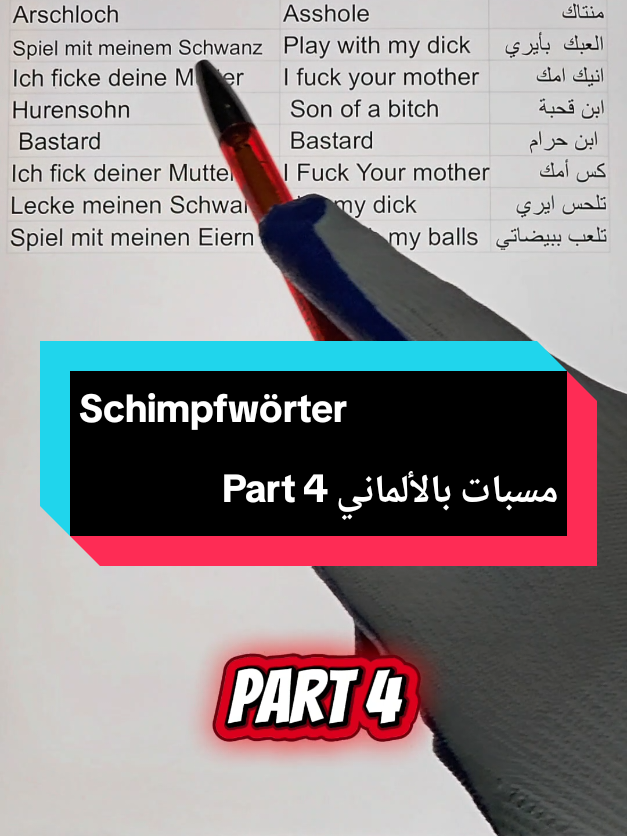 Schimpfwörter  مسبات بالألماني Part 4 