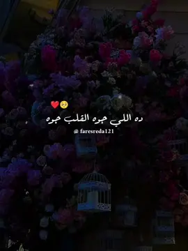 نغمة تليفونـــــي دلوقتي...