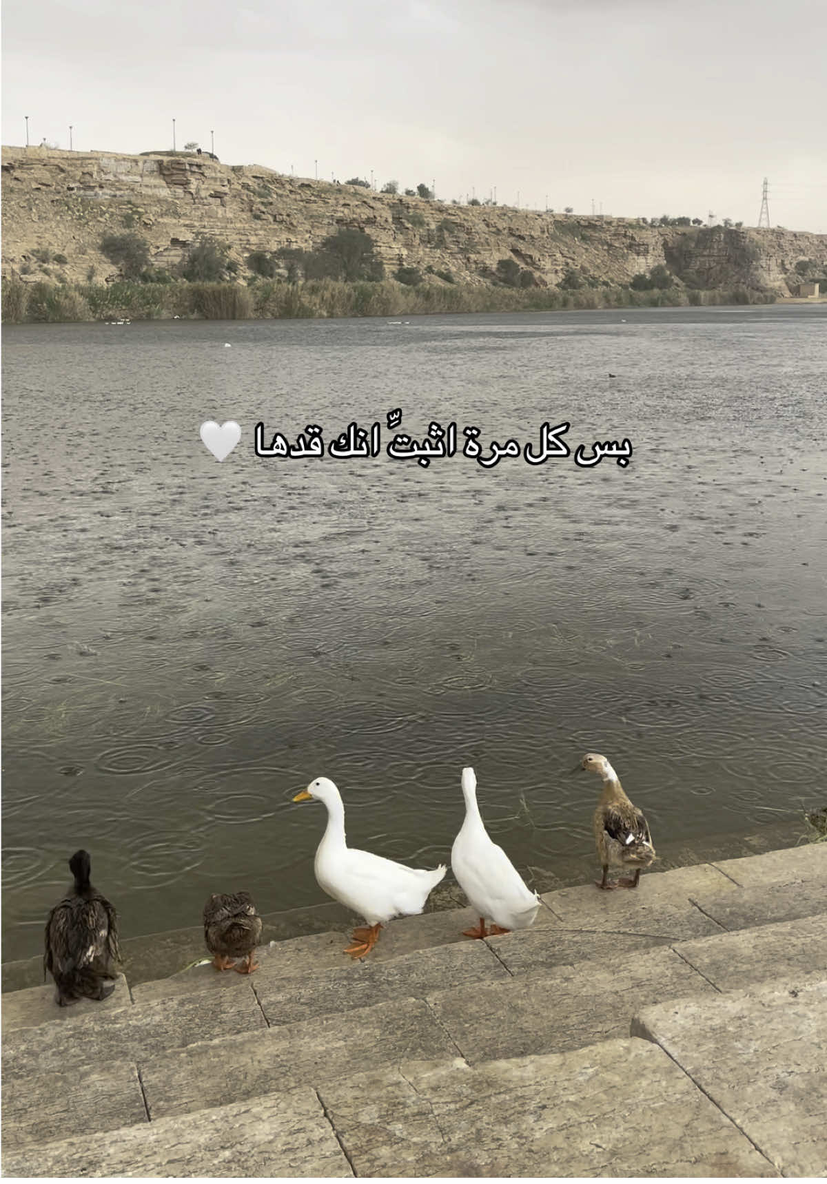 مهما ضاق بكِ الطريق، تذكري أن داخلكِ اتساع لا ينكسر.. واستمري ✨❤️‍🩹🕊️  #wellbeing #selfgrowth #mindset #healing #motivation #hihowareyoudoing 
