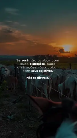 #TrendMomentos #TempoParou #pecuariabrasil🇧🇷🐂🐂🐂🐂 #agronaopara #agro10brasil 