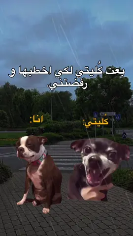 🤣💔.  #fyp #viral #explore #الشعب_الصيني_ماله_حل😂😂 #مالي_خلق_احط_هاشتاقات #foryou #memes #منشن_للي_تحبه #طاقيه_طاقيها😁❤️💍 #حقيقة #ميمز_العرب 