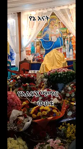 #እንጦጦ  #ኪዳነምህረትእናቴ #የእንጦጦዋ_ንግሥት_ኪዳነምሕረት_እናቴ 