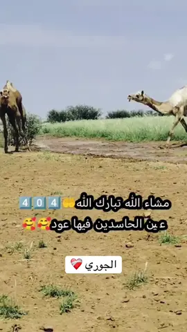 #دوبيت الجوري❤️‍🩹#وصفات_طبيعية_ 