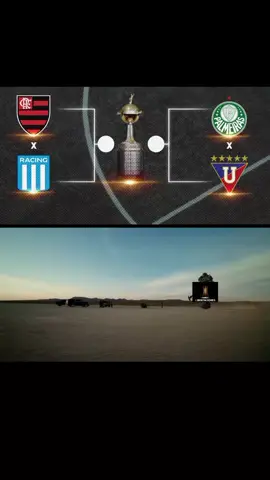 semifinal da libertadores  #funnyvideo #flamengo #palmeiras #libertadores #foryoupage 