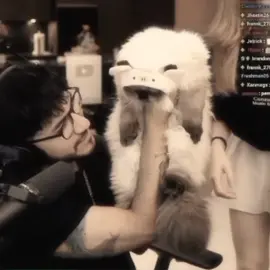 :( #elzeein #zein #grumpy #cats  #andynsane 