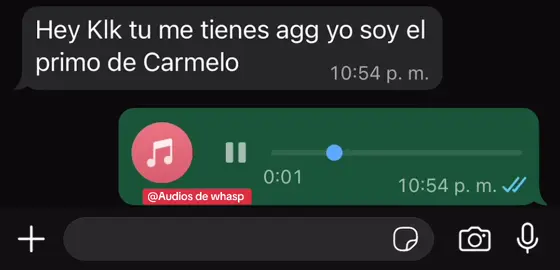 Yo soy el primo de Carmelo 🤣🤣#audiodewhatsapp #viraltiktok #viral #umor #audio 