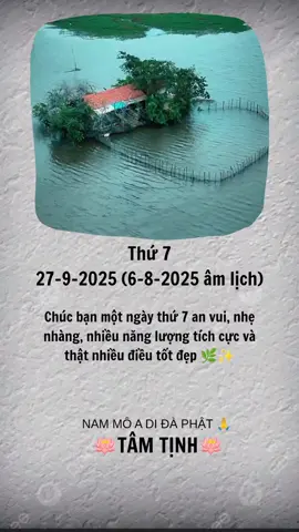 Chúc bạn một ngày thứ 7 an vui, nhẹ nhàng, nhiều năng lượng tích cực và thật nhiều điều tốt đẹp 🌿✨ #tamtinh #phatgiao #phatphap #phatphapnhiemmau #nammoadidaphat 