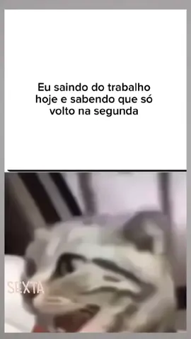 memes de sexta #humortiktok #comedia #trabalho #humor 
