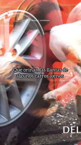 Es una profunda reflexión sobre la sociedad contemporánea y los valores que la rigen. Cuenta con muchas metáforas, con un significado profundo en ellas y un bonito mensaje. Tema: Tiempos de Cambio @Black kamikase @ElSombra @👑The Royal pen✍️ @𝐌𝐀𝐄𝐒𝐓𝐑𝐎 𝐏𝐏𝐊 @convicto de musa @soymoroxbpm @G-zus @H @Siky  #allweneedislove #canserberovive #nimasnimenos #paratii #venezuela 