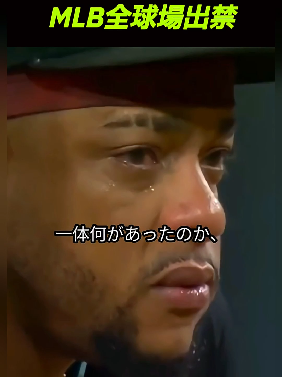 MLB史上最悪のファン