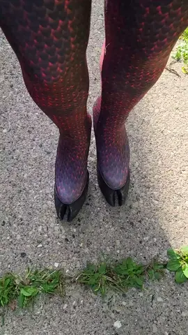 POV: Your step mother is coming over for dinner 😂 Just kidding! Or... am I? These are our black cloven hooves with our red dragon leggings! Isn't this a fun combo?! Absolutely wicked 😈 Click the link in our bio to get your hooves and leggings today! If you want these in time for Halloween, ORDER NOW! We are a small shop and can physically only make so many in time to guarentee by Halloween arrival! www.etsy.com/shop/creaturecosplay . . . #hoofshoes #hoofshoe #monster #devilshoes #hoof #clovenhoof #saytr #demonshoes #halloween #halloweencostume #creaturecosplay #witteartistry