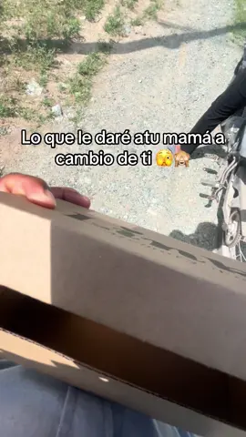 ♡ 🙈🫣#fyppppppppppppppppppppppp #fippoooppppppoparati #video_viral #parejas❤️‍ #video_viral @{💫❤️🫶} 