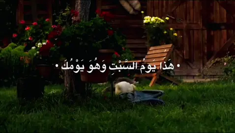 دعٓــاء يــــوم الـســبت#اكتب_شي_توجر_عليه #دعاء #العراق #كربلاء #بغداد 