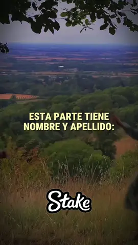 Etiqueten a esa personita ❤️🥺 #jerryriveraoficial #amorescomoelnuestro #paratii #parejasgoals #amoralaantigua 