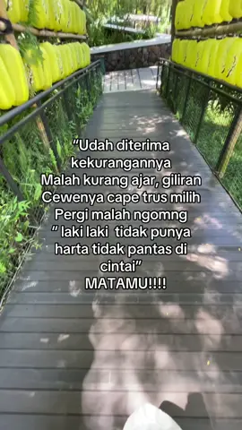 Yang paling parah udah di bantu soal keuangan pas putus malah bilang” gada yang mau nemenin prosesmu kecuali ibumu”  yakkkk monyeeettt#fypシ゚ #mokondo #fyp 