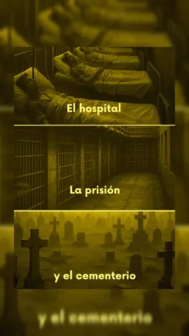 #creatorsearchinsights #verdades 