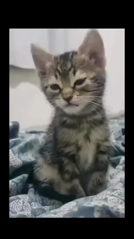 #😹😹😹😹 