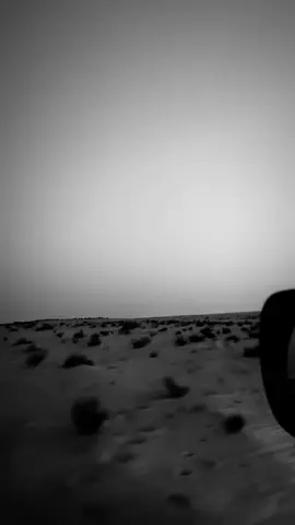يابو العيون اللي هدبها مرايش#L 