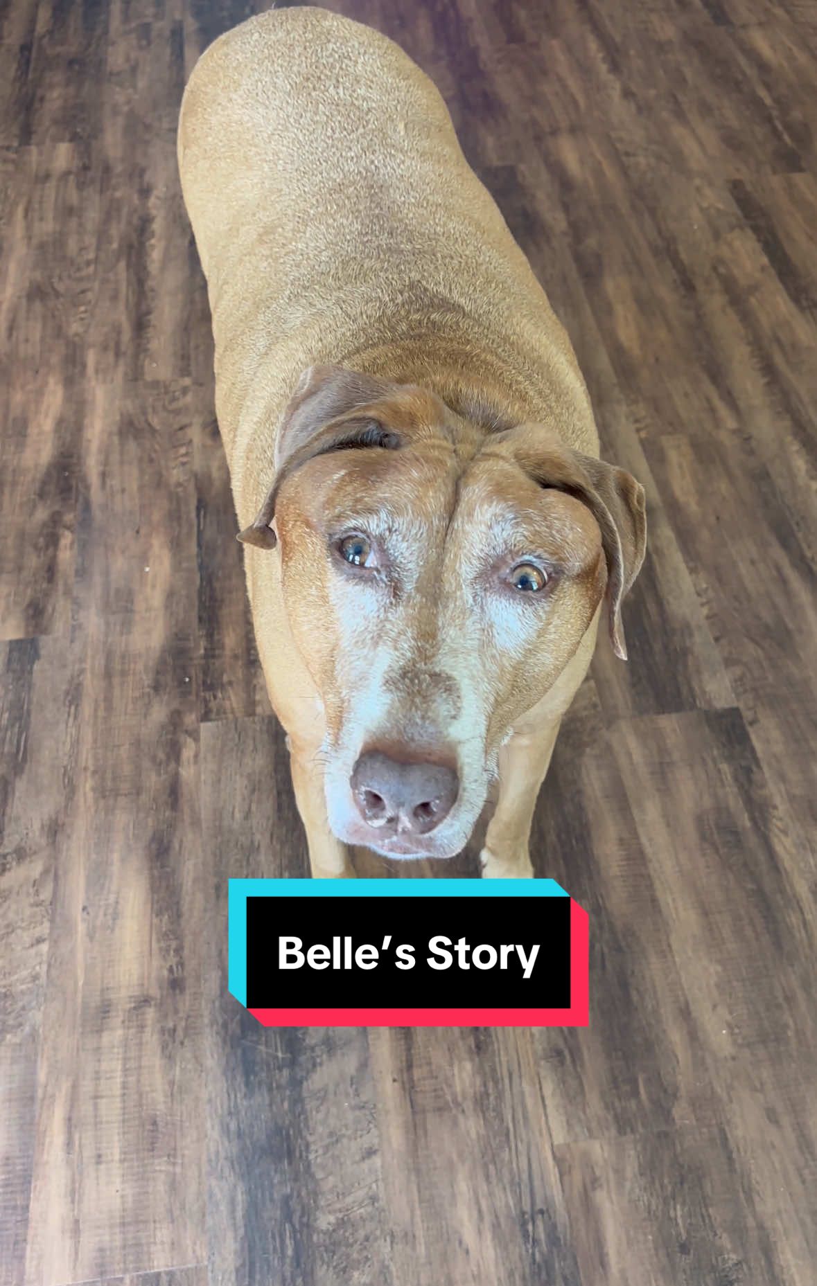 Belle shares her story! Well done, Belle, well done. 