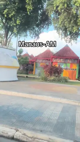 Passeio de carro em Manaus #fy 
