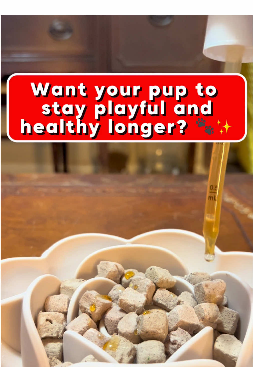 Our dogs give us unconditional love 💕 Let’s give them the daily care they deserve 🐶✨@TailyPet Collagen helps support joints, coat, & overall wellness so they can keep living their best life 🐾 Available now in our TikTok shop showcase! #Taily #DogCare #DogCareTips #DogHealth #DogParents 