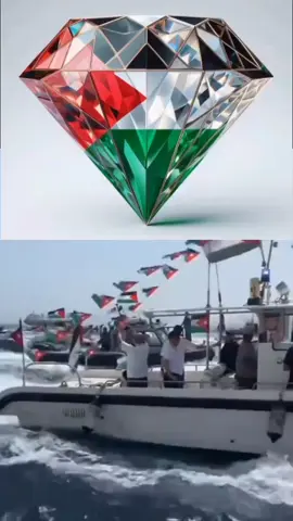armada 44 negara  Global Sumut flotilla bantuan kemanusiaan untuk Palestina GAZA  #palestine #Gaza #globalsumutflotilla #foryou #viral 