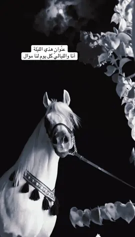 #مجرد_ذوق#اقتباسات_عبارات_خواطر🖤🦋❤️#اكسبلورexplore 