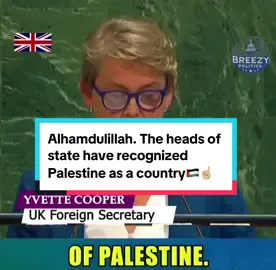 The heads of state have recognized Palestine as a country 🇵🇸☝🏼. #prayforpalestine #gaza #palestine #unitednations #fyp 