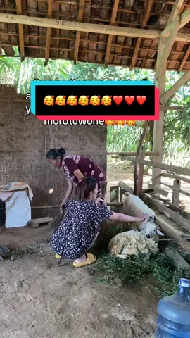 lopyu emak🥰❤️#fera #menantudanmertua 