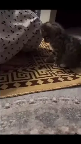 حسبي الله ونعم الوكيل 💔🖤#حسبي_الله_ونعم_الوكيل_💔💔💔😢😢😢 