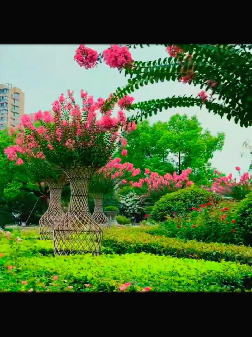 #আসসালামুয়ালাইকুম #ইসলামিক_ভিডিও_❤ #foryou#foryoupage#type  