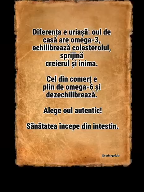 Oul de casă nu e doar mai gustos — e plin de nutrienți reali și omega-3. Oul de magazin e procesat, cu nutrienți slabi și adesea cu prea mult omega-6. Diferența se simte în corp.