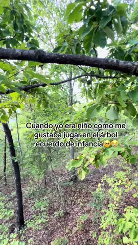 #paisaje #infancia #paratiiiiiiiiiiiiiiiiiiiiiiiiiiiiiii #contenido #videoviral 