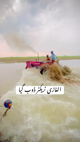 #creatorsearchinsights #viral #foryou #asifmalik786 