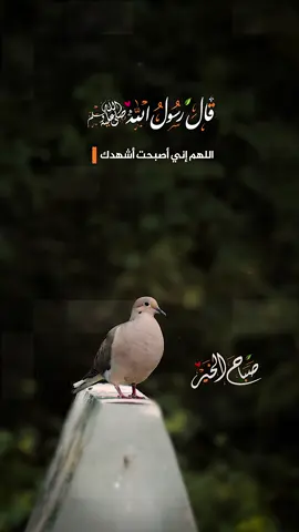 اللهم إني أصبحت أشهدك وأشهد حملة عرشك وملائكتك وجميع خلقك، أنك أنت الله لا إله إلا أنت وحدك لا شريك لك… #صباح_الخير #صباح #دعاء #اللهم_صلي_على_نبينا_محمد 