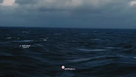 القارئ حيدر محسن البزوني . . @القارئ حيدر محسن البزوني  . . مِّنَ الْمُؤْمِنِينَ رِجَالٌ صَدَقُوا مَا عَاهَدُوا اللَّهَ عَلَيْهِ فَمِنْهُم مَّن قَضَىٰ نَحْبَهُ  وَمِنْهُم مَّن يَنتَظِرُ ۖ وَمَا بَدَّلُوا تَبْدِيلًا .#حيدر_محسن_البزوني_قارئ_قرآن  #القران_الكريم_راحه_نفسية😍🕋 #haider_ir #القرآن_نور_للقلوب_وشفاء_للصدور #قراءن_كريم 