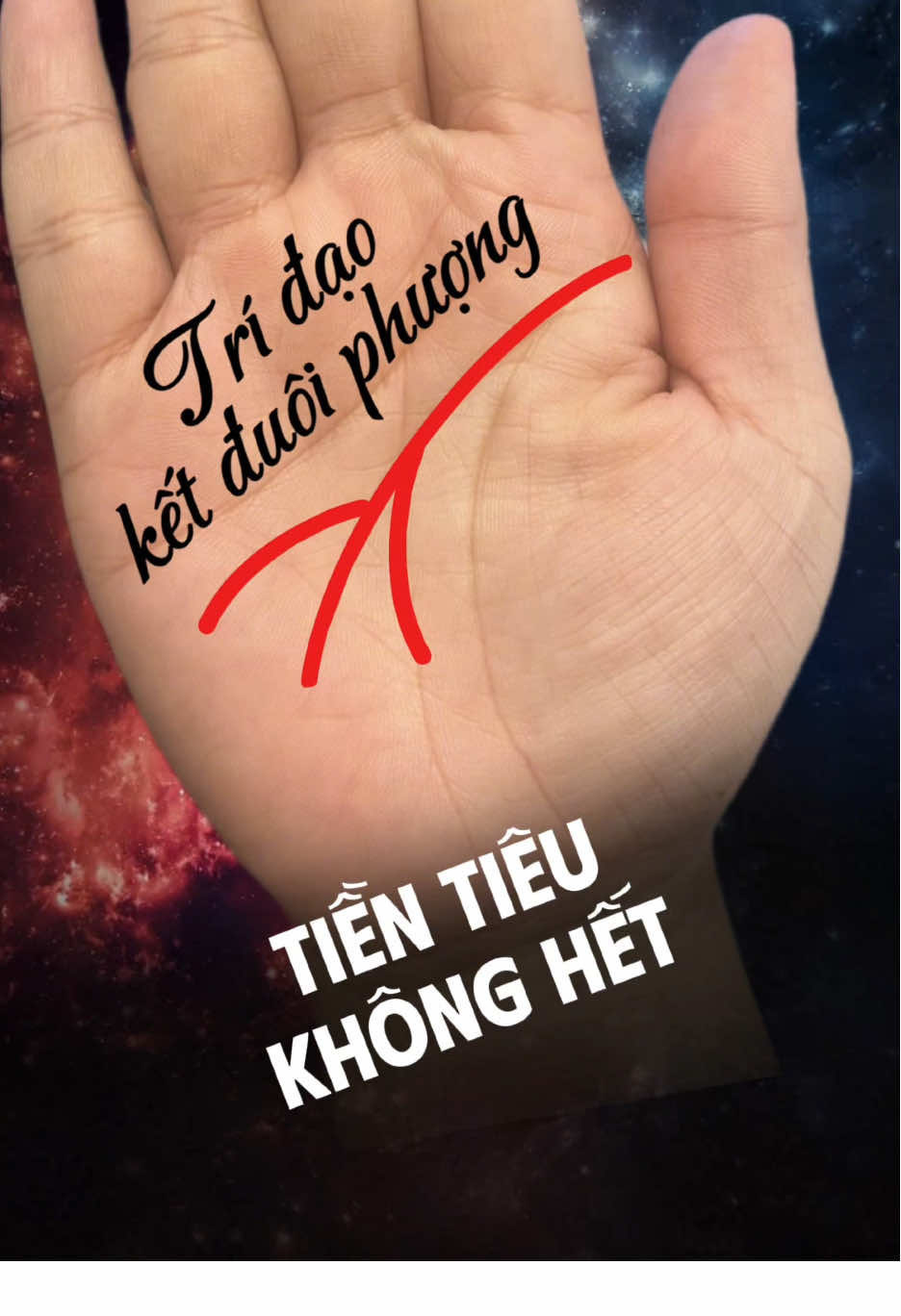 Trí đạo kết đuôi phượng - Tiền tiêu không hết #coutxemtay #coutgemini 