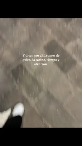 🤎