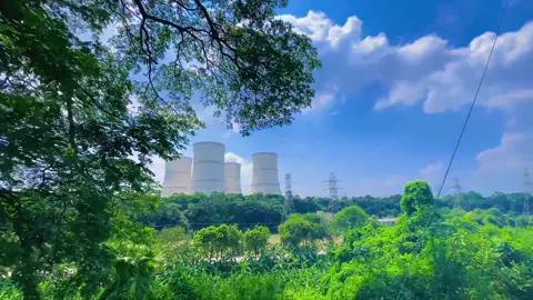 যেনো আকাশ ছুয়েছে 🌸 #viral #fyp #natural #foryoupage 