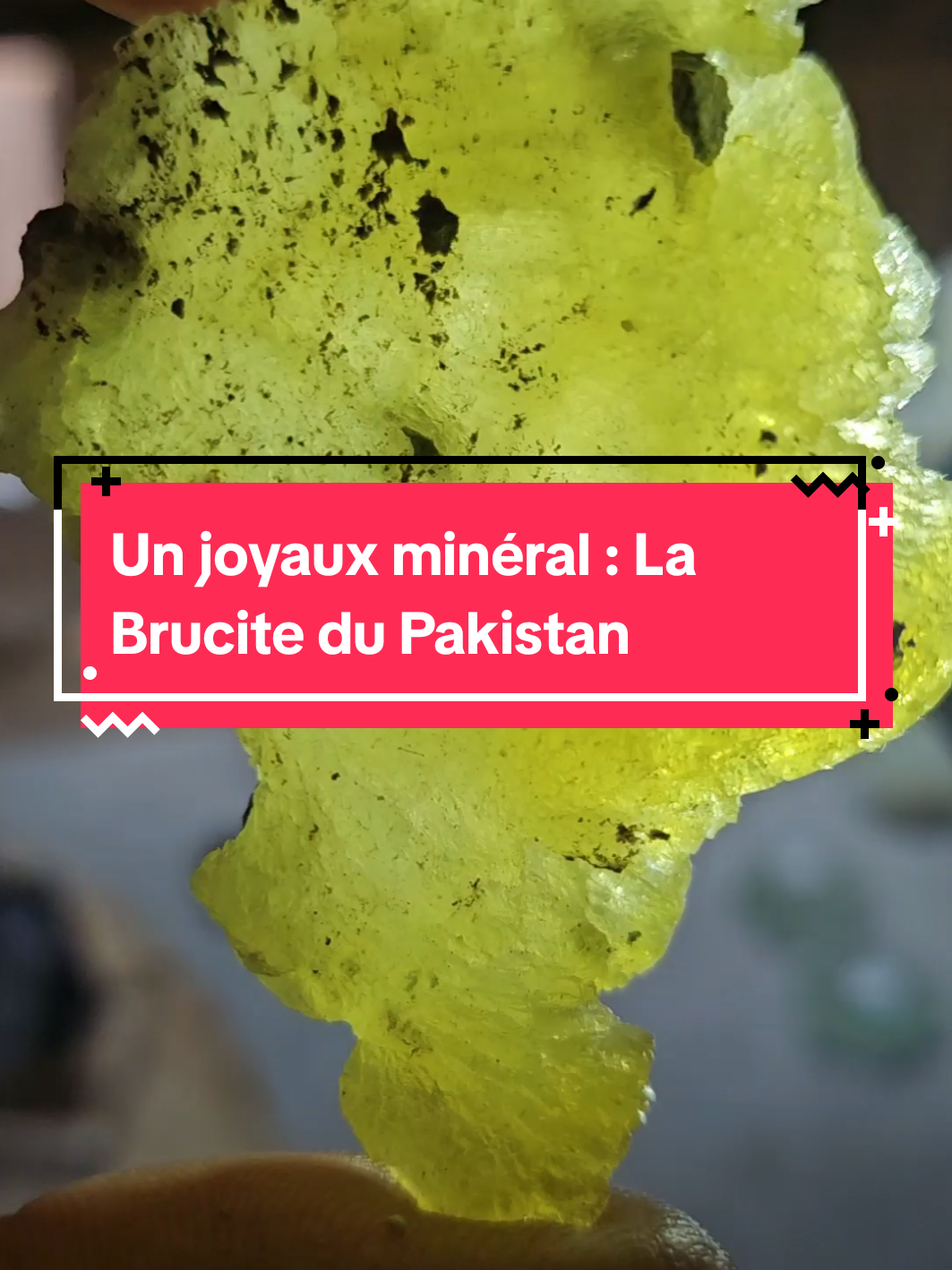 La brucite du Pakistan… une pierre rare et fascinante 🌍💛 Sous la lumière naturelle, son éclat est déjà incroyable, mais regardez sous UV… ✨ elle s’illumine comme une étoile ! 👉 Minéral de collection recherché par les passionnés et pierre de lithothérapie, la brucite est connue pour : ✨ Apaiser les émotions ✨ Redonner confiance en soi ✨ Stimuler la clarté d’esprit Ces spécimens uniques sont disponibles sur ma boutique en ligne et en live TikTok 🎥💎 Venez découvrir ces trésors en direct et choisir la pièce qui vous appelle. 💛 Rare – Authentique – Vibratoire 💛 #minéraux #pierresnaturelles #lithothérapie #collection #crystals 