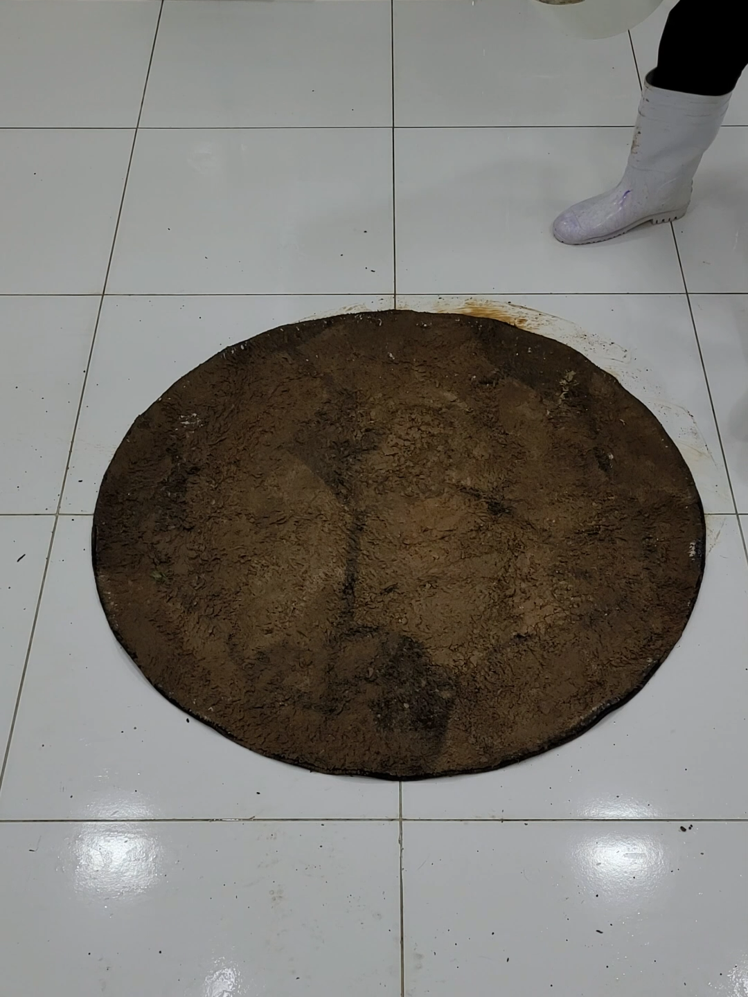 Cleaning satisfies the carpet full of swamp mud #asmrcleaningvideo #SatisfyingClean #restoration #asmrcleaning #cleaningservice