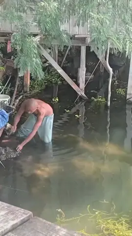 lagi Lagi dia muncul lagi si paus orca  😭🌊💦