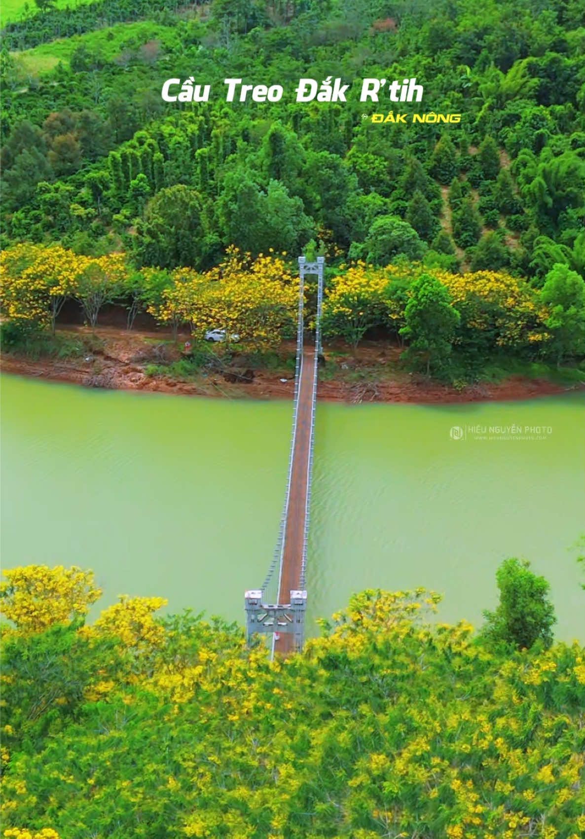 Giữa núi rừng Đắk Nông, cầu treo Đắk R’tíh mùa này trở nên thơ mộng hơn bao giờ hết khi hoa phượng vàng đồng loạt khoe sắc. Hai bên lối đi vàng rực một màu, soi bóng xuống dòng nước trong xanh, tạo nên khung cảnh vừa lãng mạn vừa hoang sơ. Nơi đây không chỉ là điểm đến lý tưởng để check-in sống ảo, mà còn là nơi để thả hồn vào thiên nhiên, cảm nhận sự bình yên của cao nguyên #daknong #cautreodakrtih #hoaphuongvang #flycam 