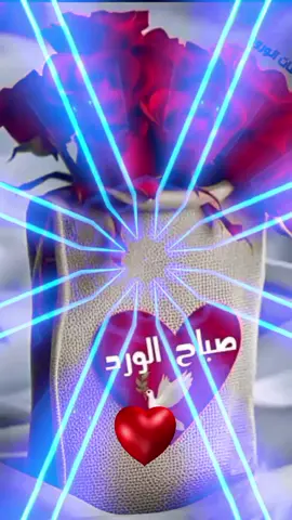 #صباح_الخير #صباحكم_أحلى_صباح #🌹🌹🌹🌹🌹🌹🌹🌹🌹🌹🌹🌹 