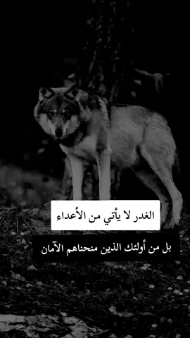 #fyp #F #f #شلفاوة_والحلاوة🔥 #شعب_الصيني_ماله_حل😂😂 