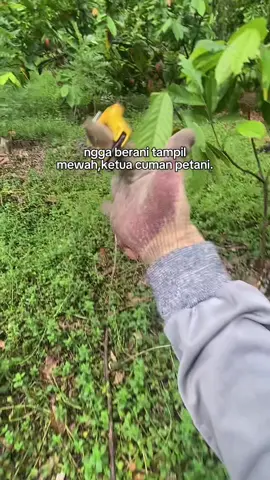 #petanimuda #petanicoklat #fyp 